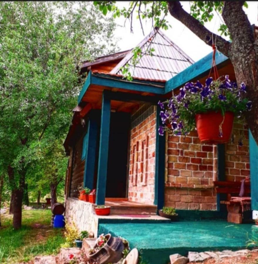 Chalet Etno Oaza Near Airport *
